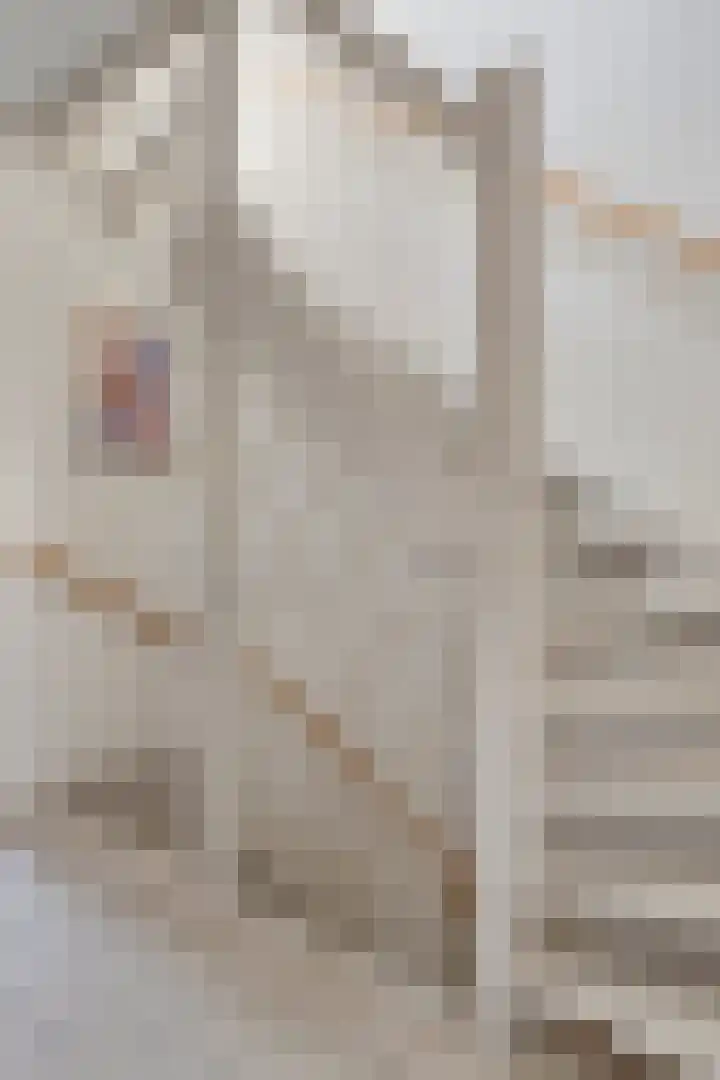 Oude Boomgaard 1 Herkingen thumbnail 17