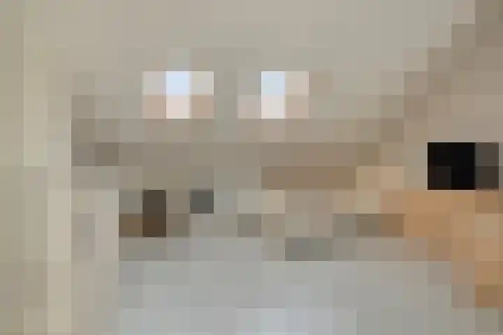 Oude Boomgaard 1 Herkingen thumbnail 29