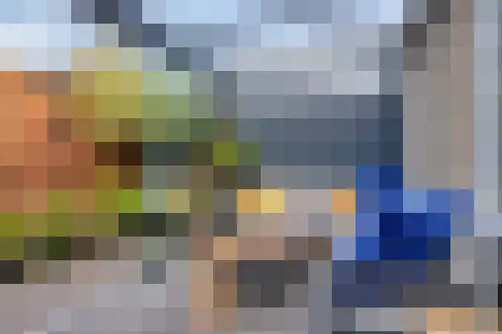Oude Boomgaard 1 Herkingen thumbnail 31