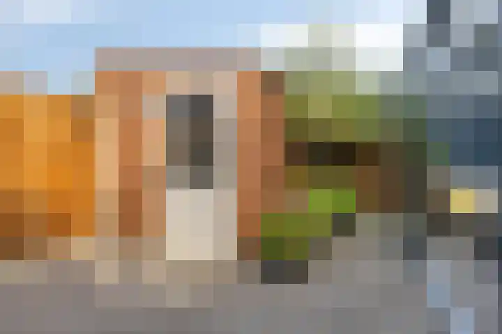 Oude Boomgaard 1 Herkingen thumbnail 34