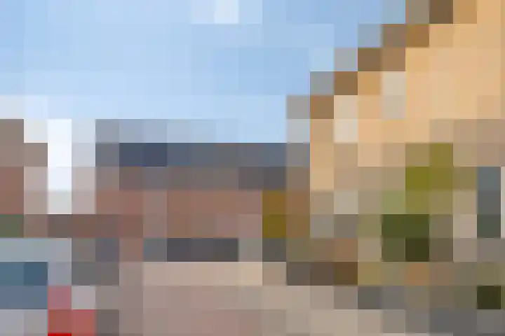 Oude Boomgaard 1 Herkingen thumbnail 36