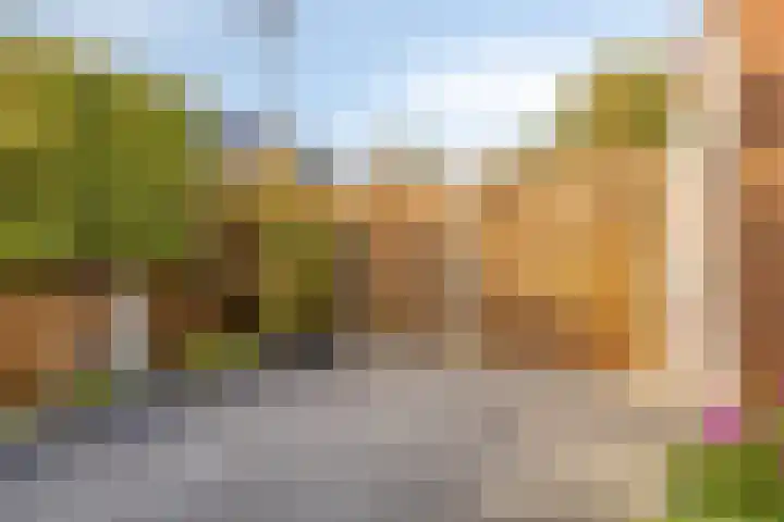 Oude Boomgaard 1 Herkingen thumbnail 5