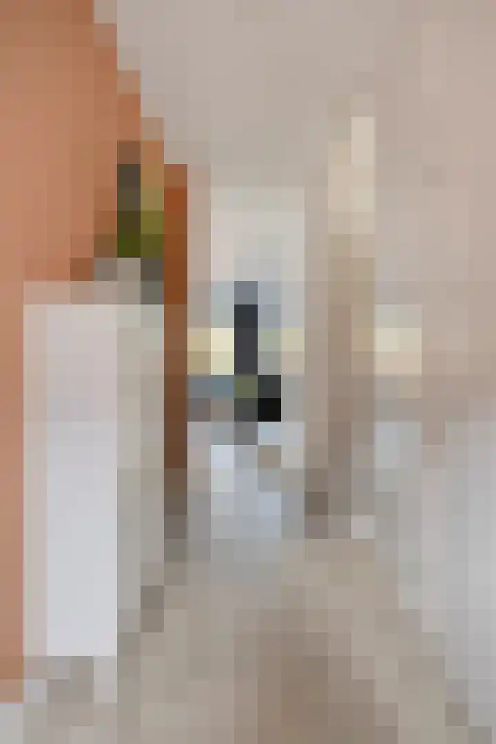 Oude Boomgaard 1 Herkingen thumbnail 9