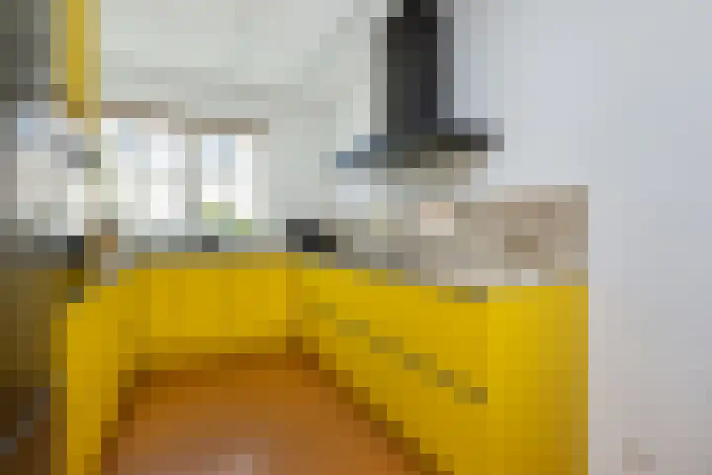 Oude Boomgaard 24 Herkingen thumbnail 10