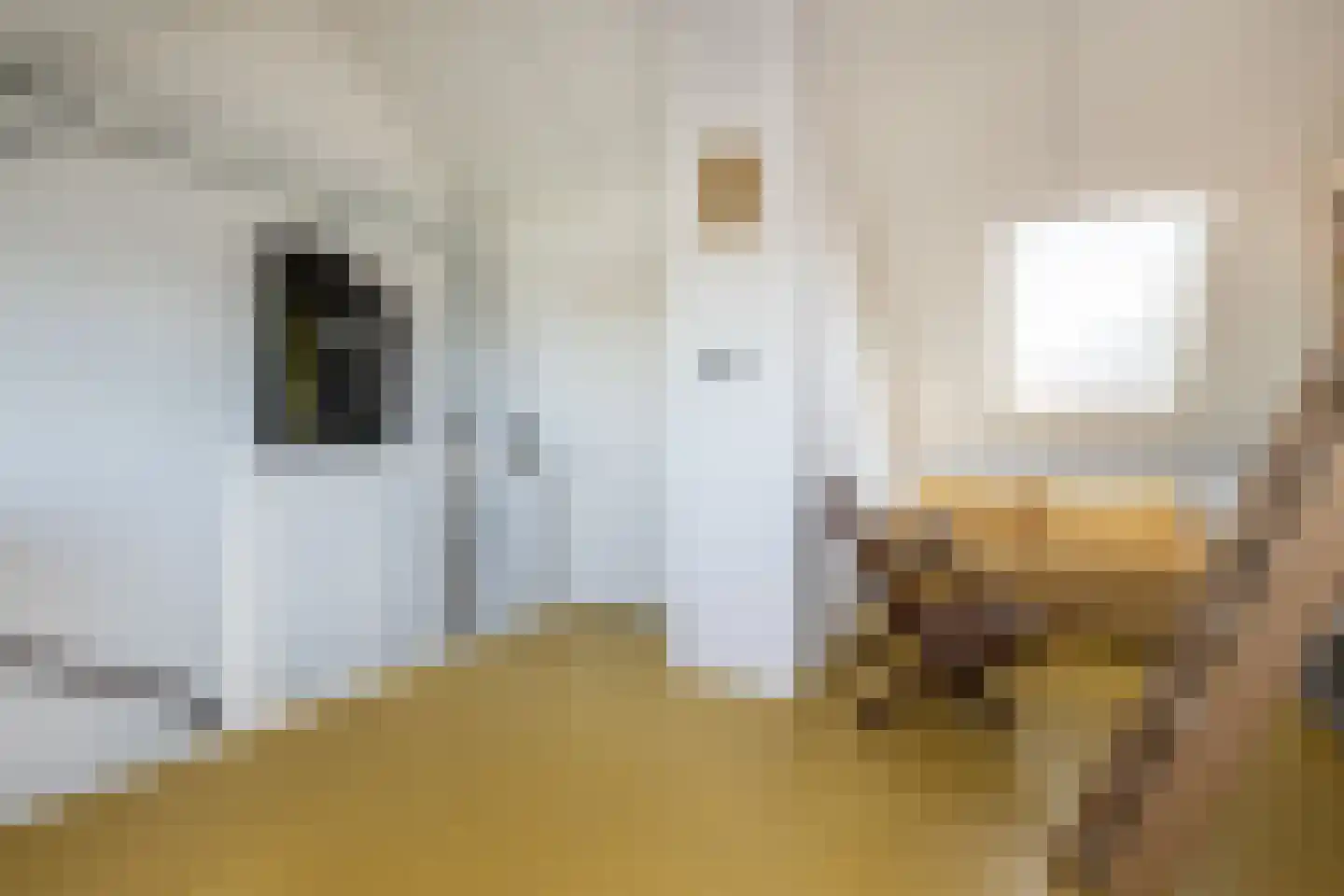 Oude Boomgaard 24 Herkingen thumbnail 23