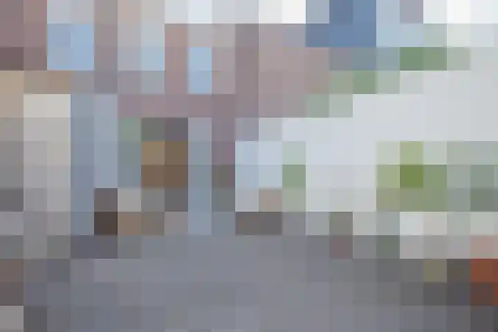 Oude Boomgaard 8 Montfoort thumbnail 20