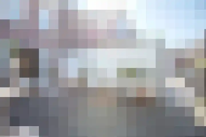 Oude Boomgaard 8 Montfoort thumbnail 21