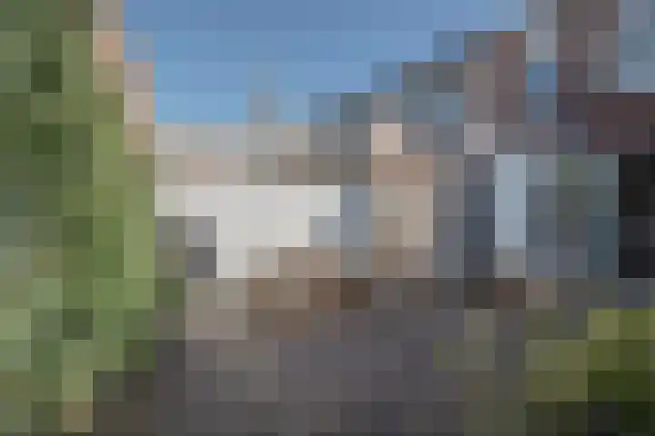 Oude Boomgaard 8 Montfoort thumbnail 22
