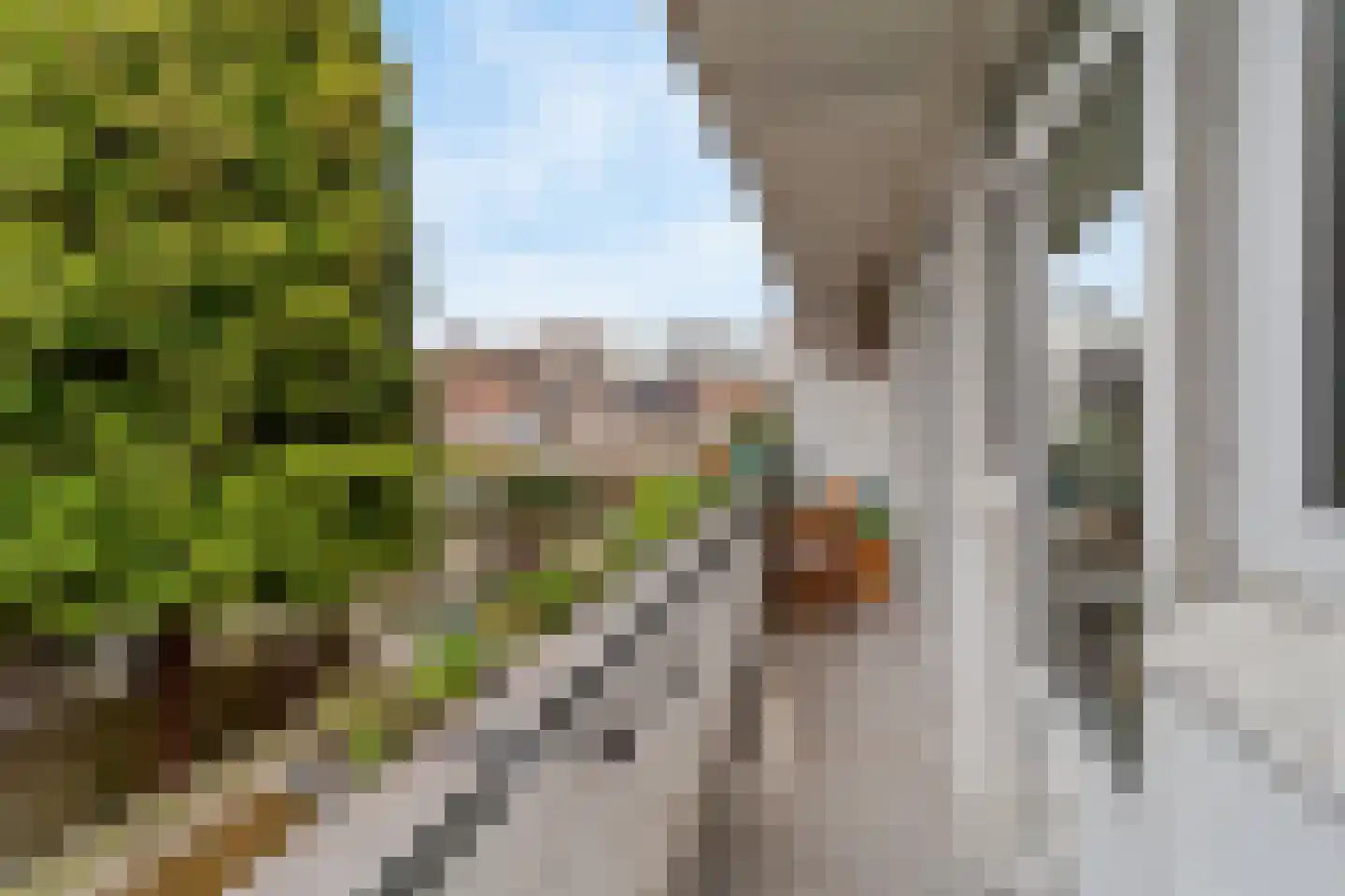 Oude Boomgaardstraat 14 Den Haag thumbnail 9