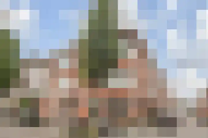 Oude Boomgaardstraat 2 Den Haag thumbnail 37