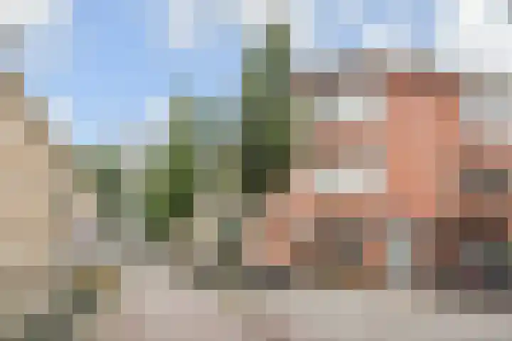 Oude Boomgaardstraat 2 Den Haag thumbnail 38