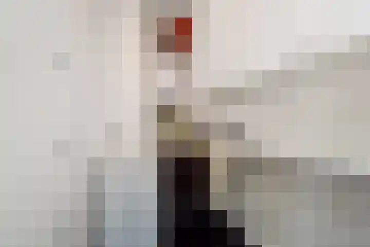 Oude Boomgaardstraat 22 Den Haag thumbnail 11