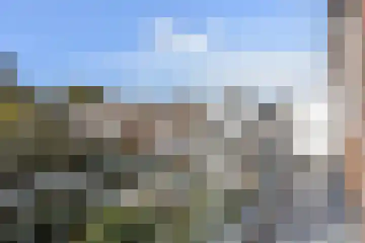 Oude Boomgaardstraat 22 Den Haag thumbnail 20