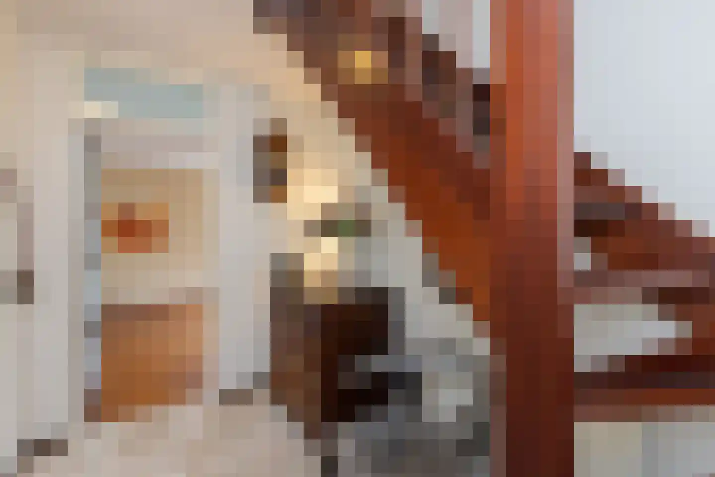 Oude Borculoseweg 12 Neede thumbnail 18