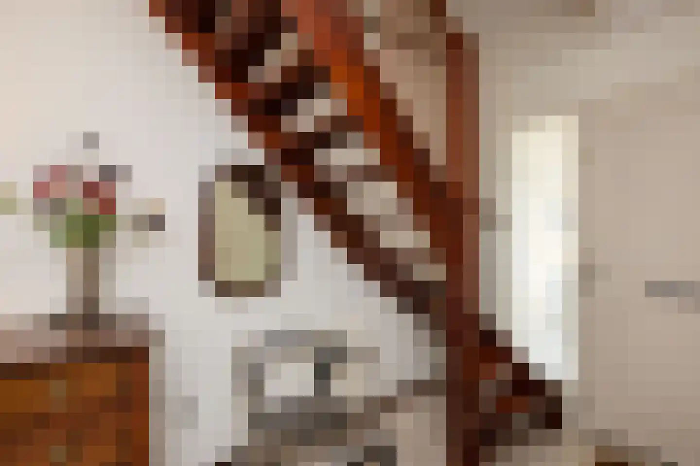 Oude Borculoseweg 12 Neede thumbnail 23