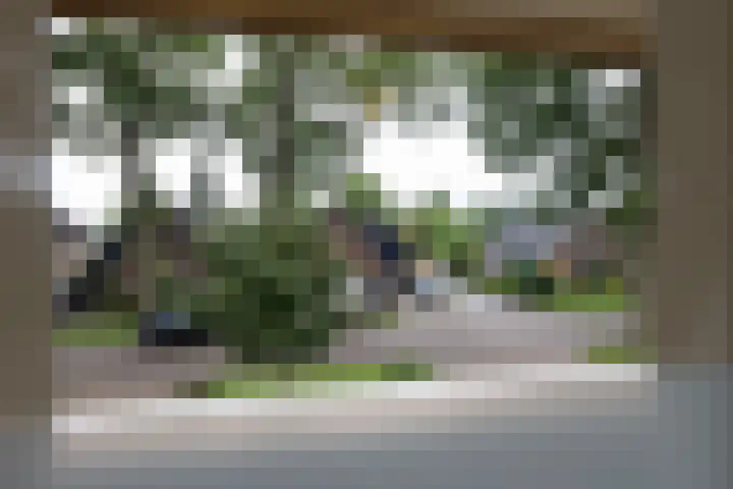 Oude Borculoseweg 12 Neede thumbnail 32