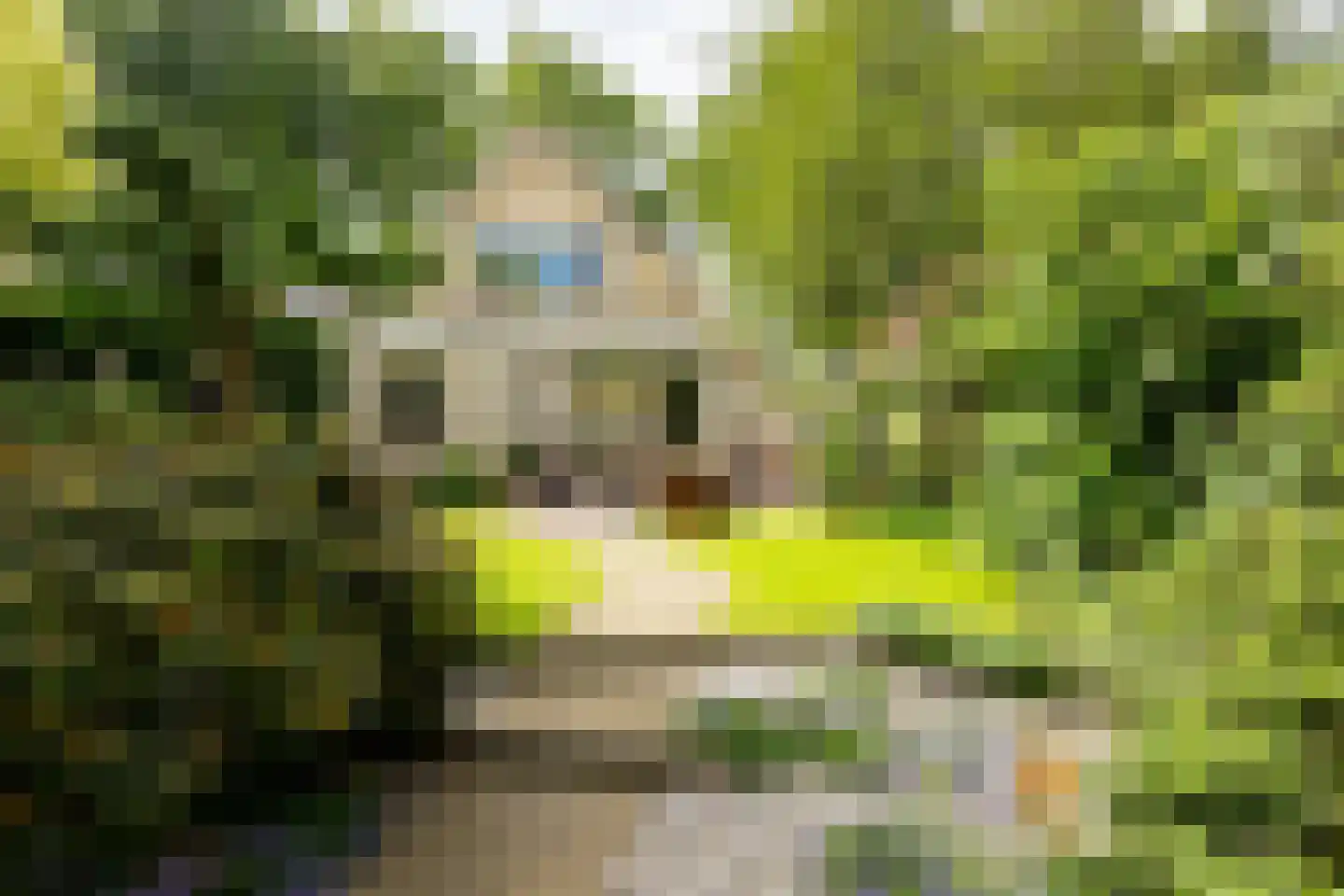 Oude Borculoseweg 12 Neede thumbnail 34