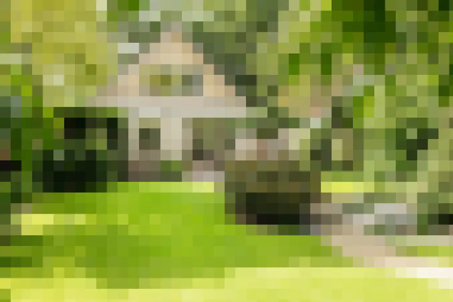 Oude Borculoseweg 12 Neede thumbnail 37