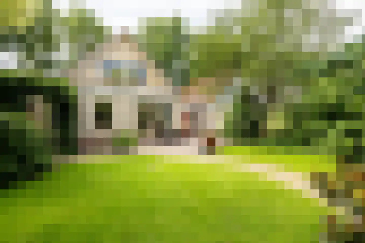 Oude Borculoseweg 12 Neede thumbnail 38