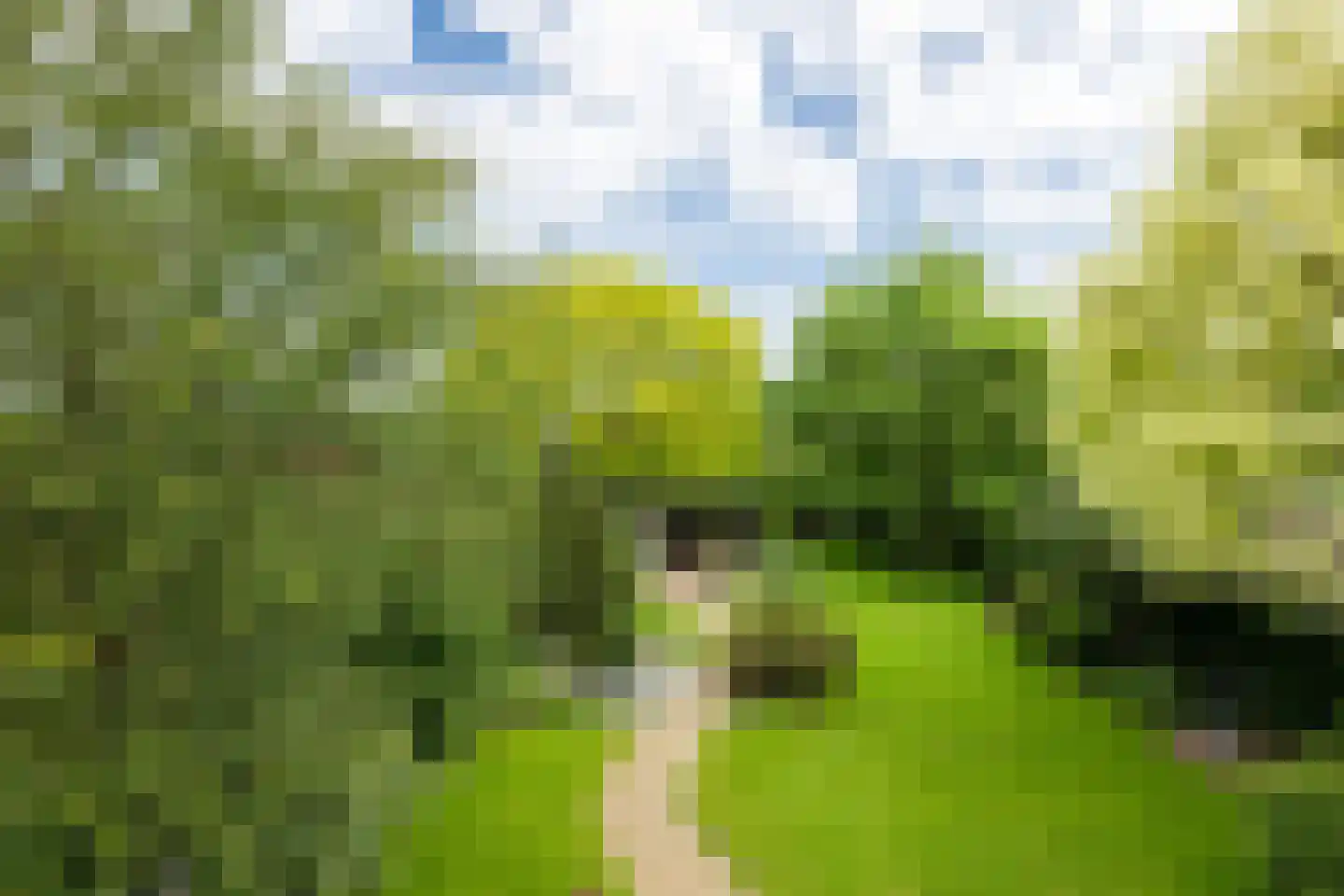 Oude Borculoseweg 12 Neede thumbnail 39