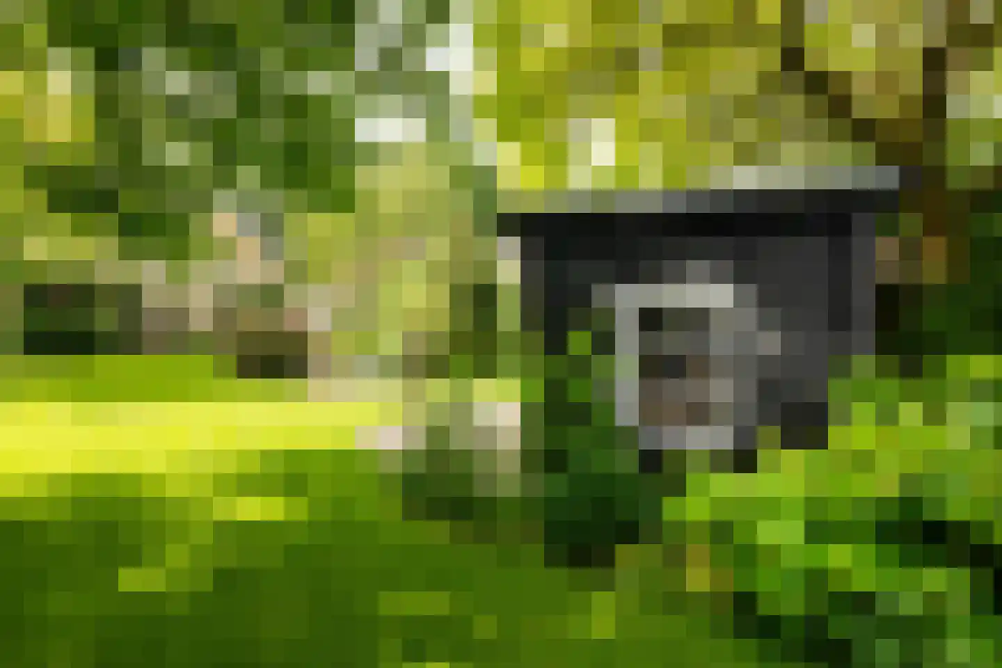 Oude Borculoseweg 12 Neede thumbnail 4