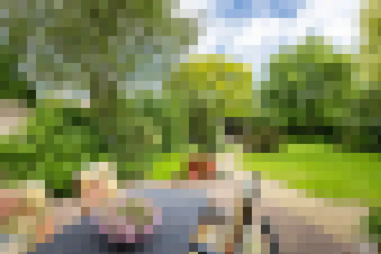 Oude Borculoseweg 12 Neede thumbnail 40