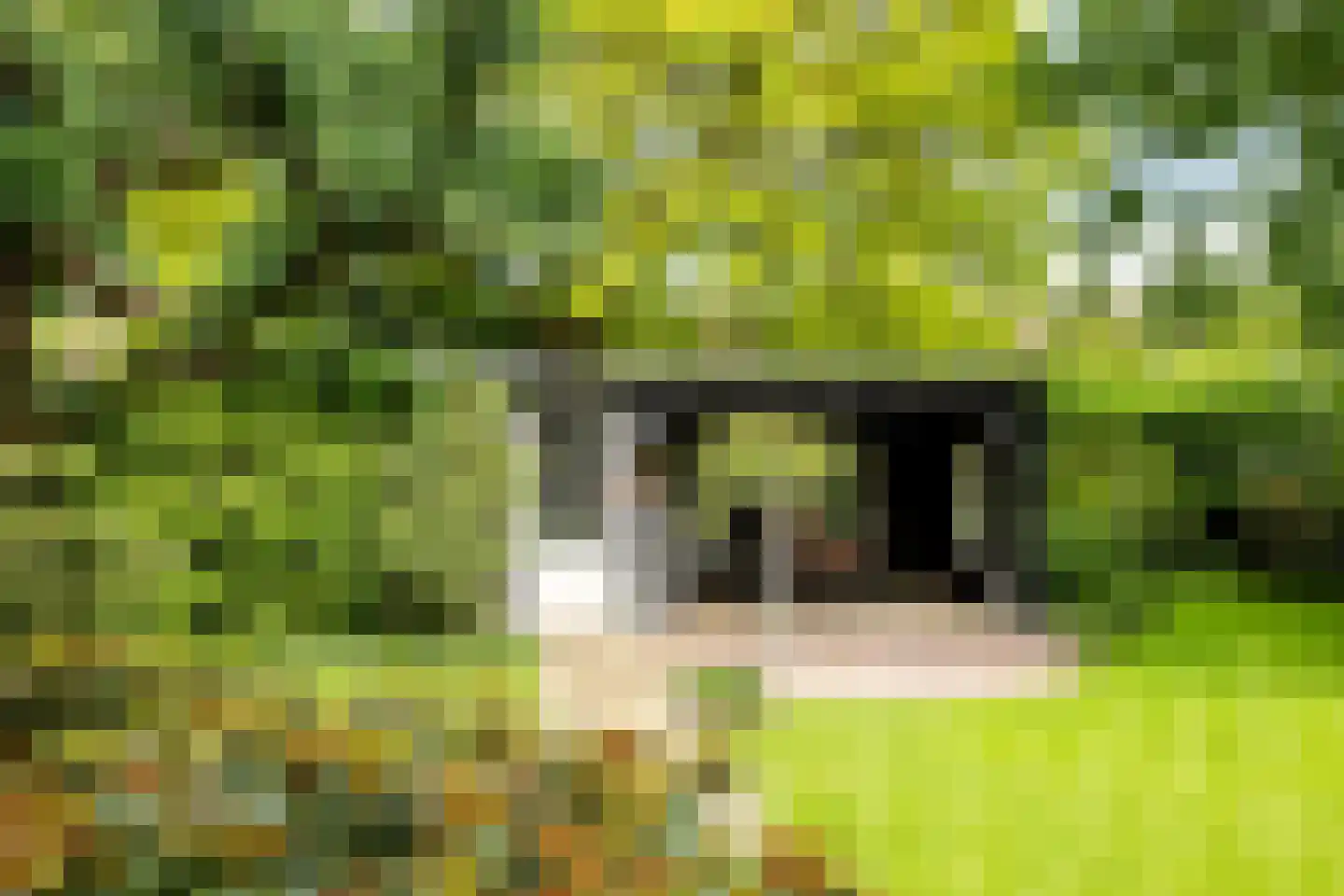 Oude Borculoseweg 12 Neede thumbnail 41