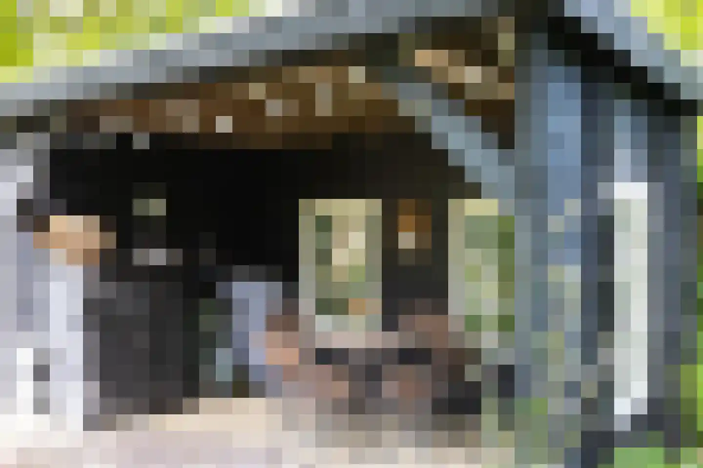 Oude Borculoseweg 12 Neede thumbnail 42