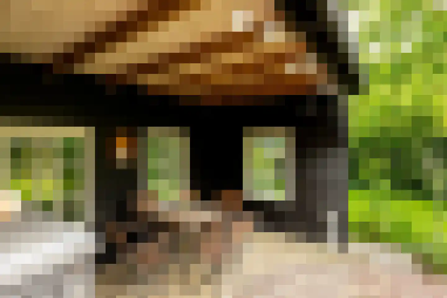 Oude Borculoseweg 12 Neede thumbnail 43