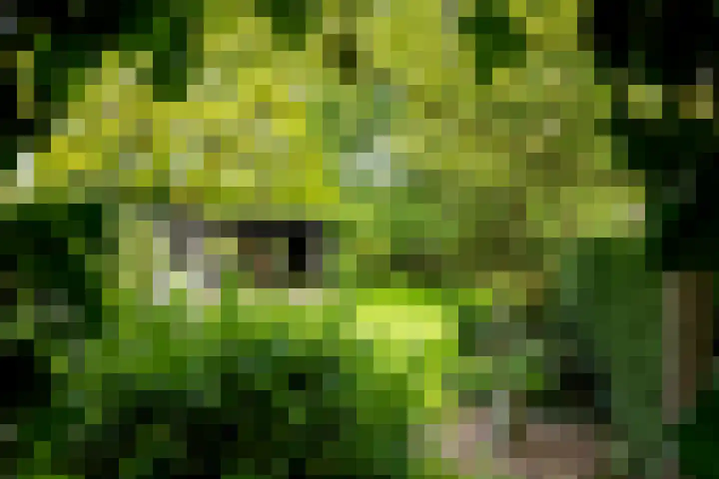 Oude Borculoseweg 12 Neede thumbnail 44
