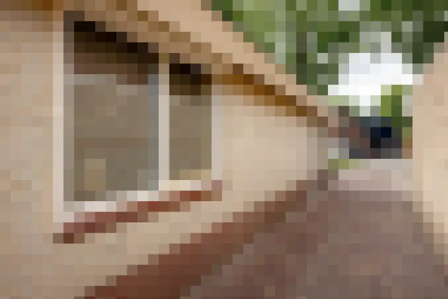 Oude Borculoseweg 12 Neede thumbnail 45