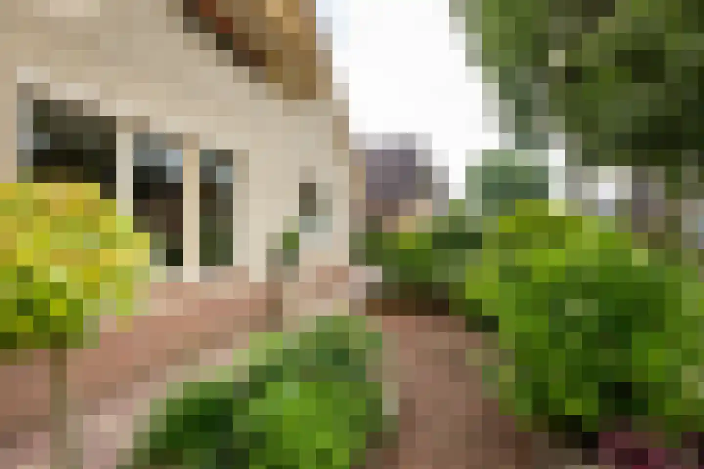 Oude Borculoseweg 12 Neede thumbnail 46