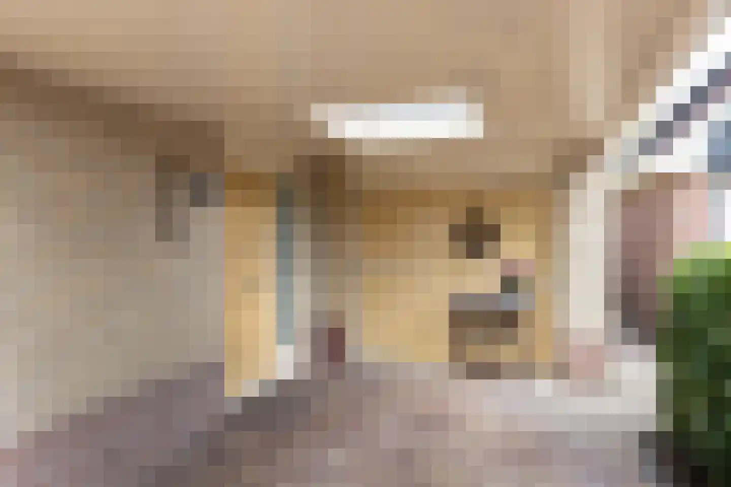 Oude Borculoseweg 12 Neede thumbnail 47