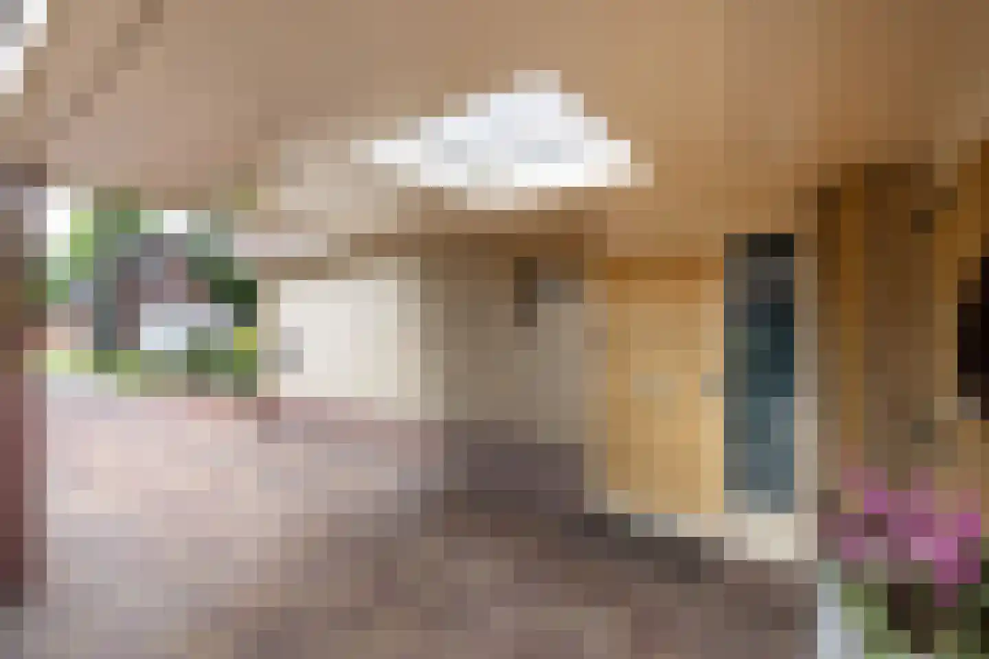 Oude Borculoseweg 12 Neede thumbnail 48