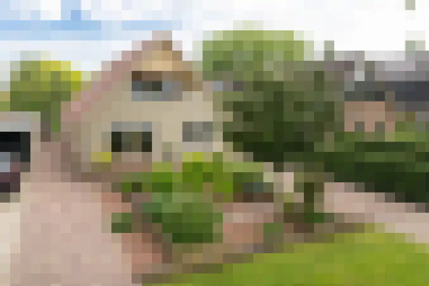 Oude Borculoseweg 12 Neede thumbnail 49