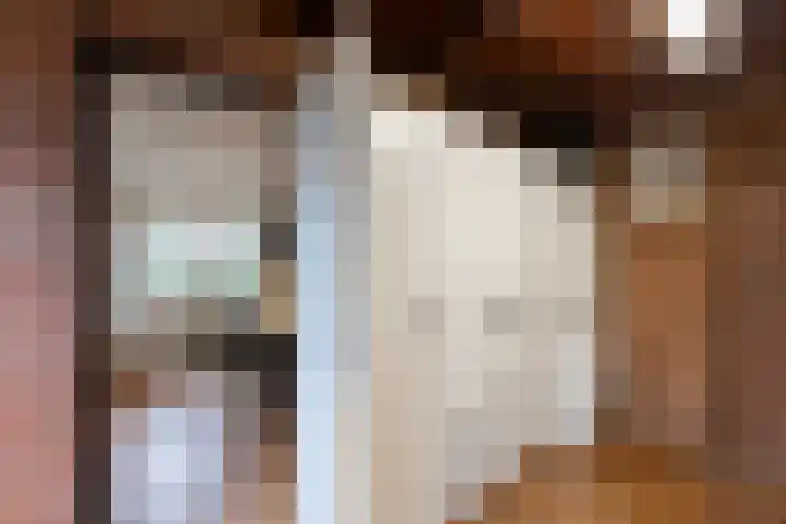 Oude Borculoseweg 18 Neede thumbnail 11