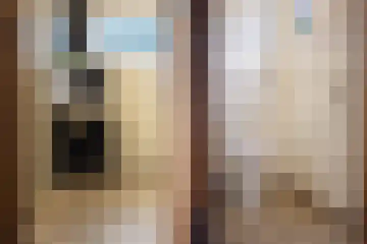 Oude Borculoseweg 18 Neede thumbnail 12