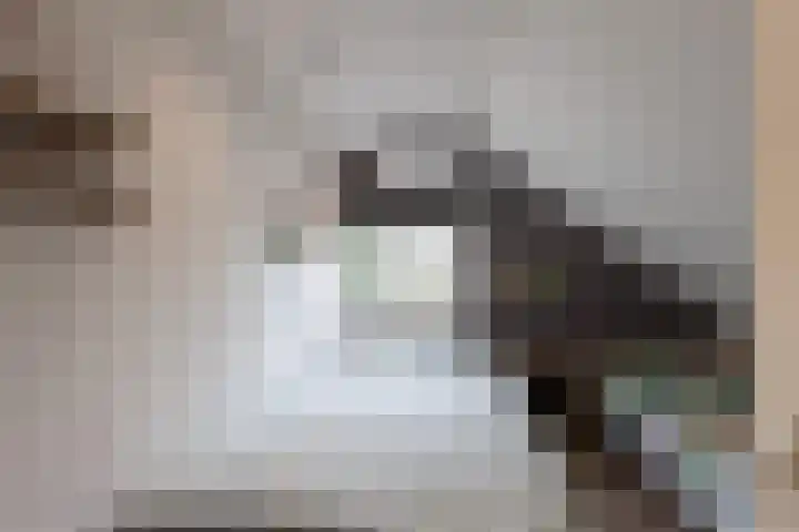 Oude Borculoseweg 18 Neede thumbnail 18