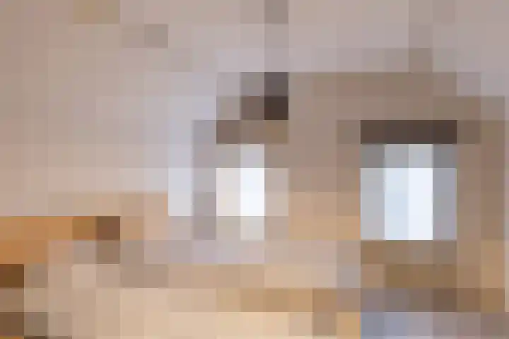 Oude Borculoseweg 18 Neede thumbnail 20