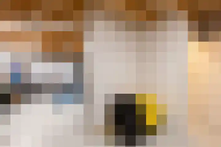 Oude Borculoseweg 18 Neede thumbnail 22