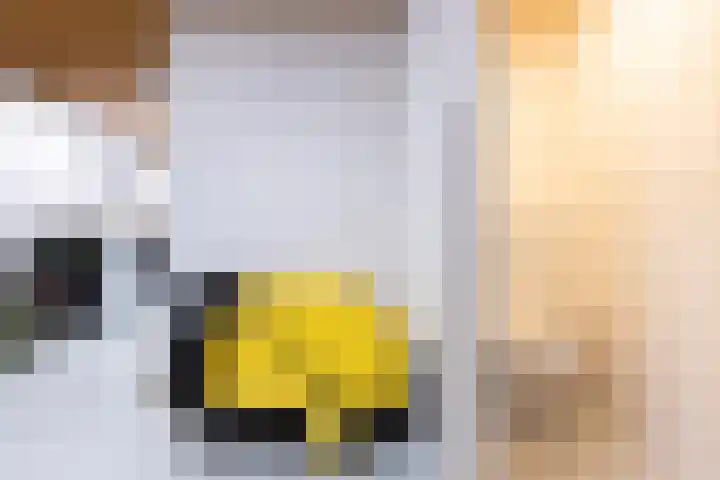 Oude Borculoseweg 18 Neede thumbnail 23
