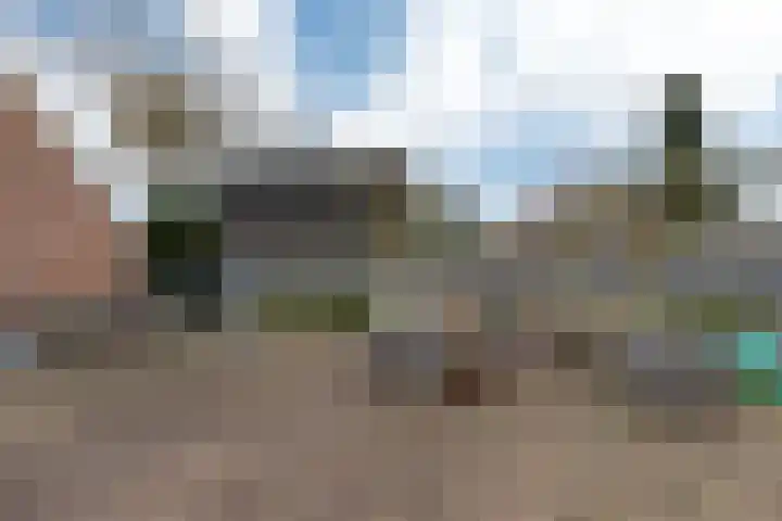 Oude Borculoseweg 18 Neede thumbnail 24