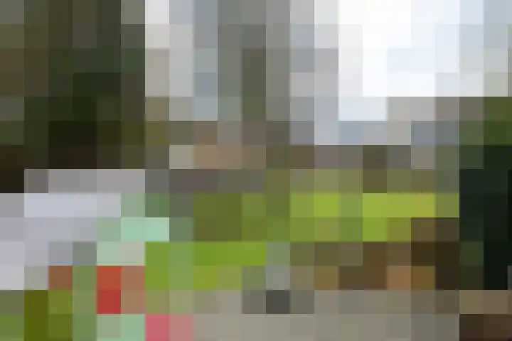 Oude Borculoseweg 18 Neede thumbnail 28
