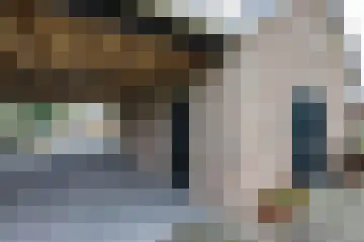 Oude Borculoseweg 18 Neede thumbnail 29