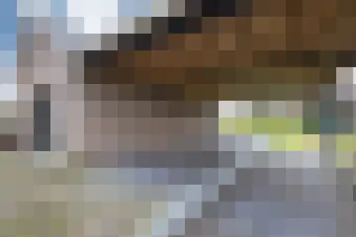 Oude Borculoseweg 18 Neede thumbnail 30