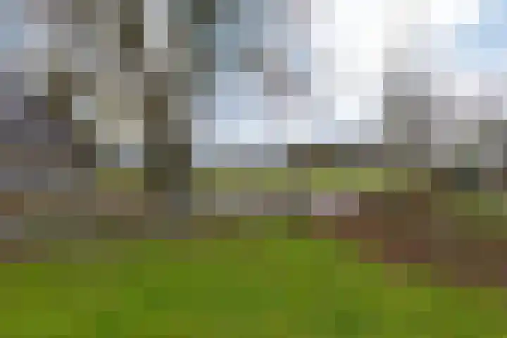 Oude Borculoseweg 18 Neede thumbnail 33