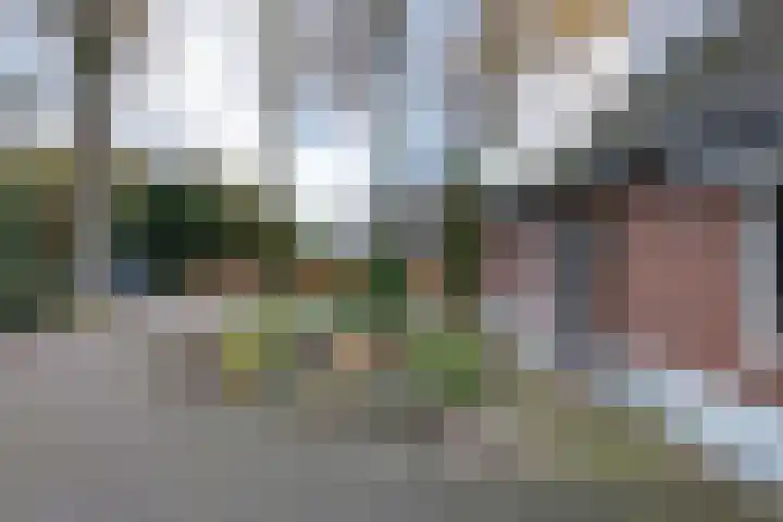 Oude Borculoseweg 18 Neede thumbnail 34