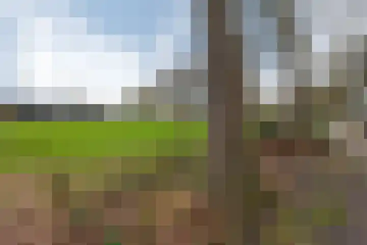 Oude Borculoseweg 18 Neede thumbnail 36