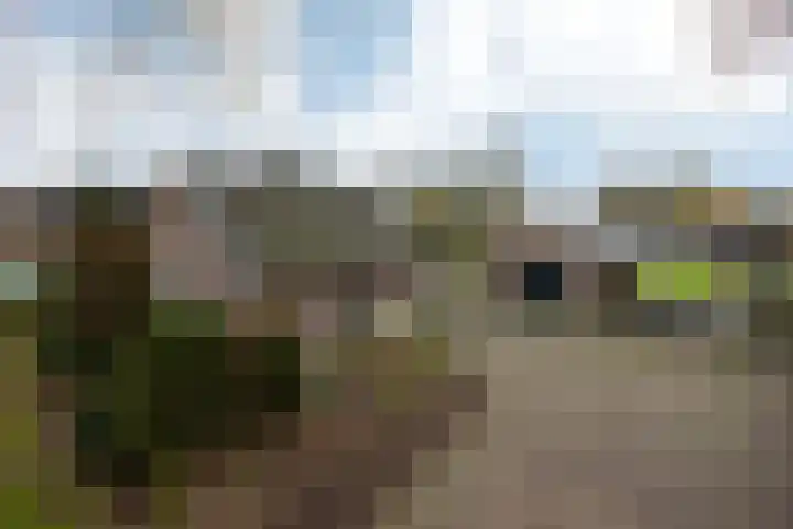 Oude Borculoseweg 18 Neede thumbnail 37