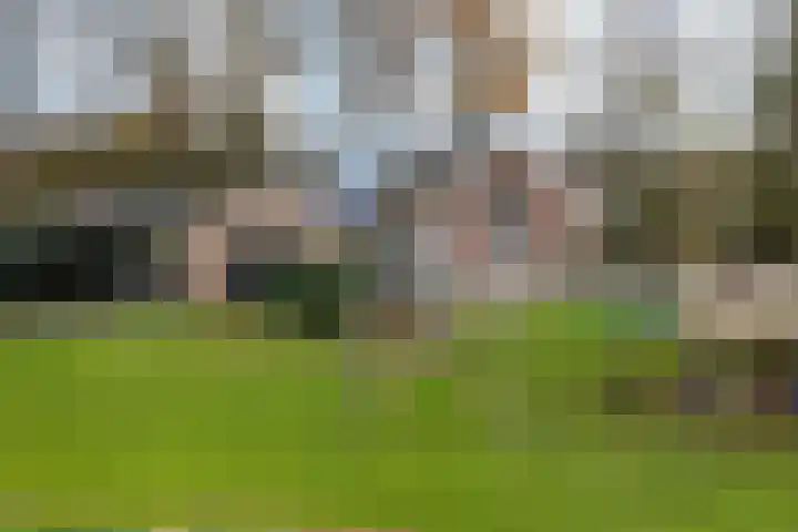 Oude Borculoseweg 18 Neede thumbnail 39